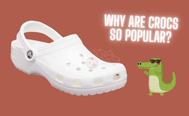 Why are Crocs so popular? Durability, strength, design, or what?